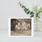 Pferd Gezeichnet Hook and Ladder Fire Company - Vi Postkarte (Stehend Vorderseite)