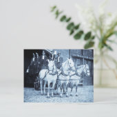 Pferd Gezeichnet Hook and Ladder Fire Company - Vi Postkarte (Stehend Vorderseite)