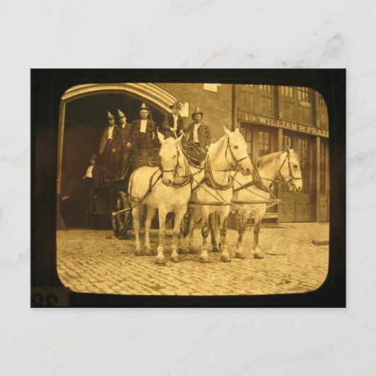 Pferd Gezeichnet Hook and Ladder Fire Company - Vi Postkarte (Vorderseite)