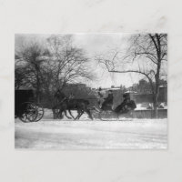 Pferd Gezeichnet Sleigh NYC Postcard