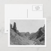 Pferd Gezeichnet Trainer in Phantom Ridge Fotograf Postkarte (Vorne/Hinten)