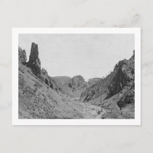 Pferd Gezeichnet Trainer in Phantom Ridge Fotograf Postkarte (Vorderseite)