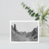 Pferd Gezeichnet Trainer in Phantom Ridge Fotograf Postkarte (Stehend Vorderseite)