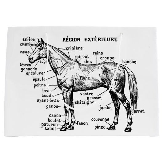 Pferd Große Geschenktüte (Vorderseite)