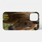 Pferd Hallo iPhone-Hülle iPhone Hülle (Rückseite (Horizontal))