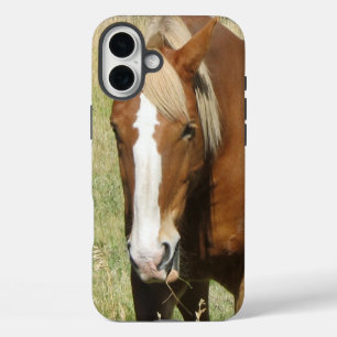 Pferd-Handy-Fall iPhone 16 Plus Hülle
