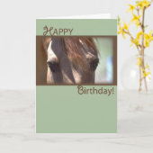 Pferd, Happy Birthday Karte (Gelbe Blume)
