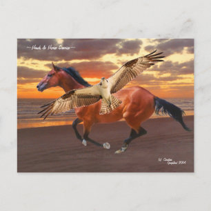Pferd & Hawk Sonnenaufgang Postkarte
