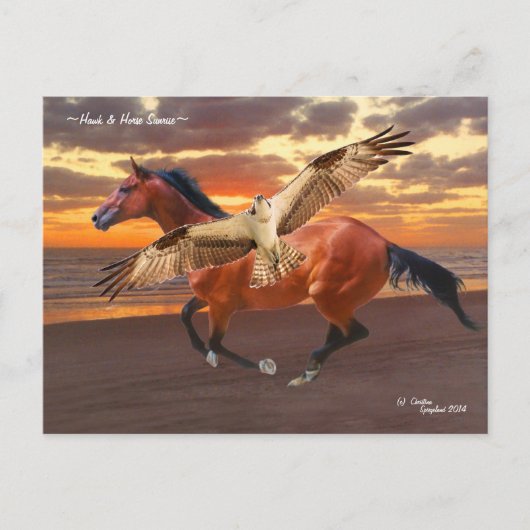 Pferd & Hawk Sonnenaufgang Postkarte (Vorderseite)