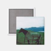 Pferd hinter Zaun Magnet (Vorderseite/Rückseite)