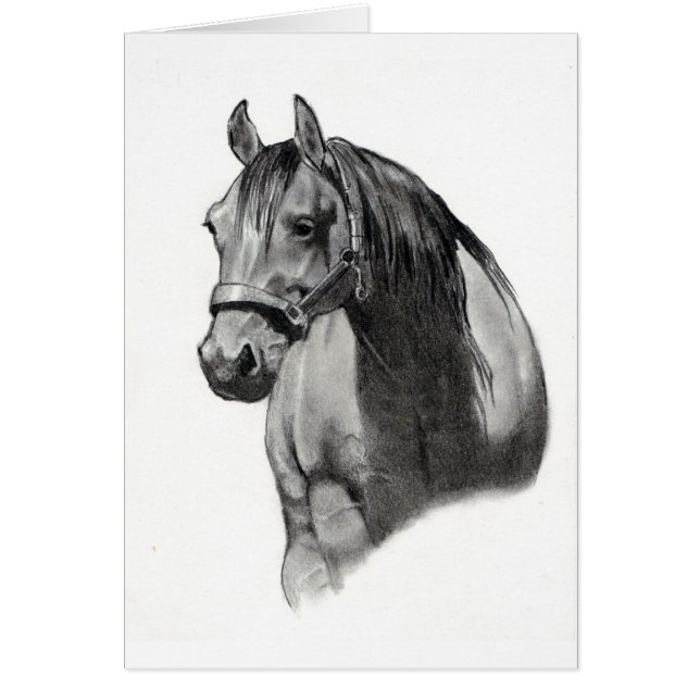 PFERD IM BLEISTIFT (Vorne)