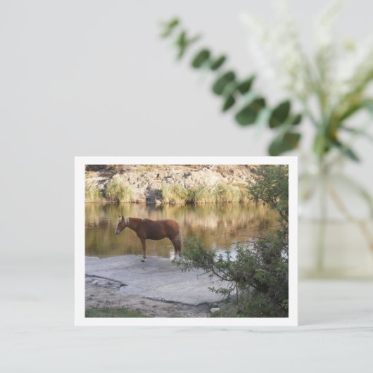 Pferd im Fluss Postkarte (Stehend Vorderseite)