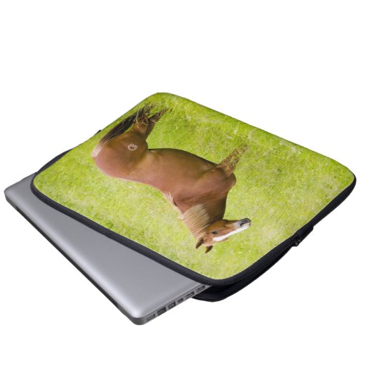 Pferd im Frühjahrsfeld Laptopschutzhülle (Vorne Knopf)