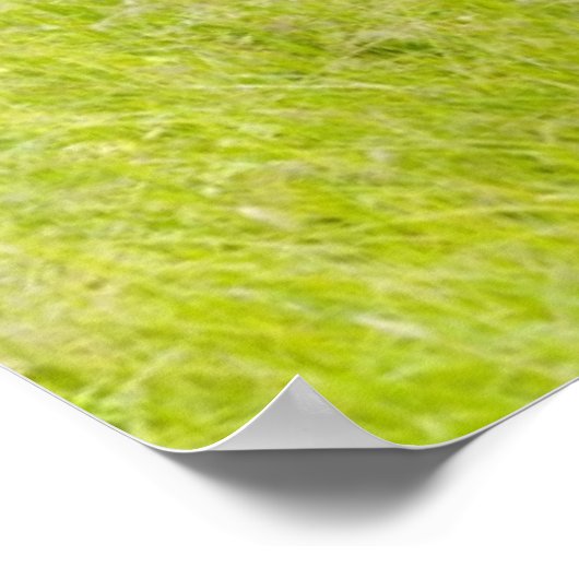 Pferd im Frühjahrsfeld Poster (Ecke)