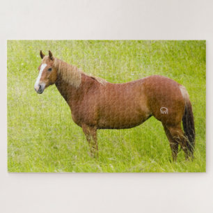 Pferd im Frühjahrsfeld Puzzle