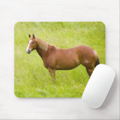 Pferd im Frühlingsfeld Mousepad (Mit Mouse)