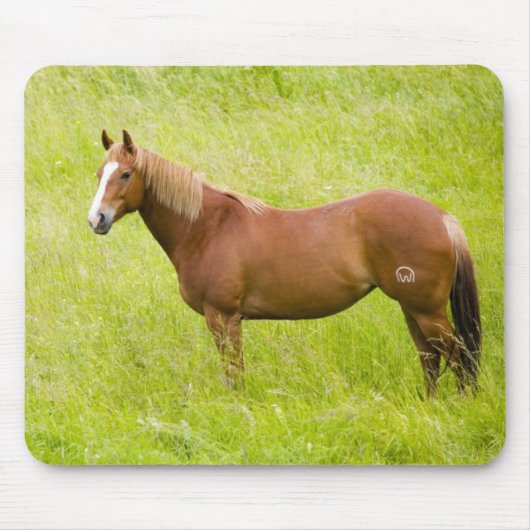 Pferd im Frühlingsfeld Mousepad (Vorne)