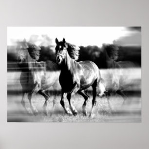 Pferd im Galopp Poster Druck - B&W Pferdeposter