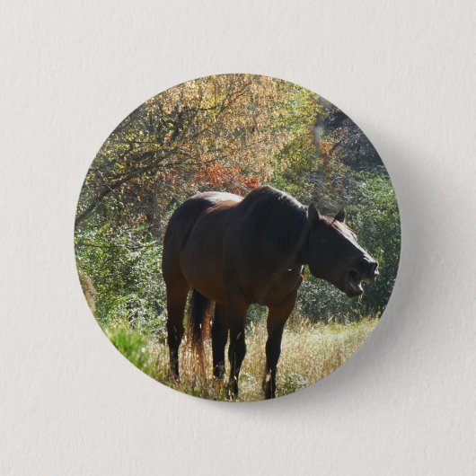 Pferd im Herbst Button (Vorderseite)