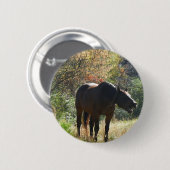 Pferd im Herbst Button (Vorne & Hinten)