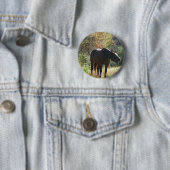 Pferd im Herbst Button (Beispiel)