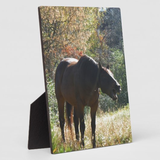 Pferd im Herbst Fotoplatte (Seite)