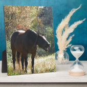 Pferd im Herbst Fotoplatte (Seite)