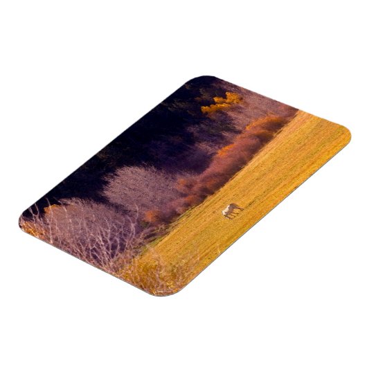 Pferd im Herbst I Magnet (Linke Seite)