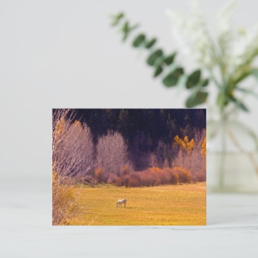 Pferd im Herbst I Postkarte (Stehend Vorderseite)