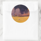 Pferd im Herbst I Runder Aufkleber (Tasche)