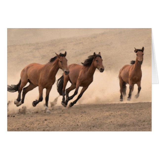 Pferd im Herbst II (Vorderseite (Horizontal))