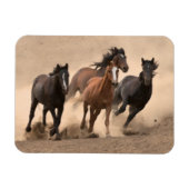 Pferd im Herbst II Magnet (Horizontal)