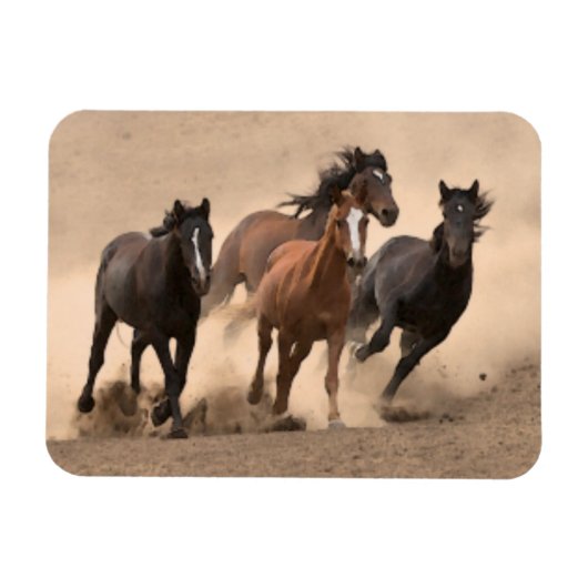 Pferd im Herbst II Magnet (Horizontal)