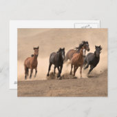 Pferd im Herbst II Postkarte (Vorne/Hinten)