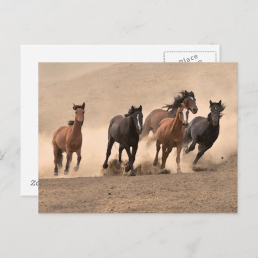 Pferd im Herbst II Postkarte (Vorne/Hinten)