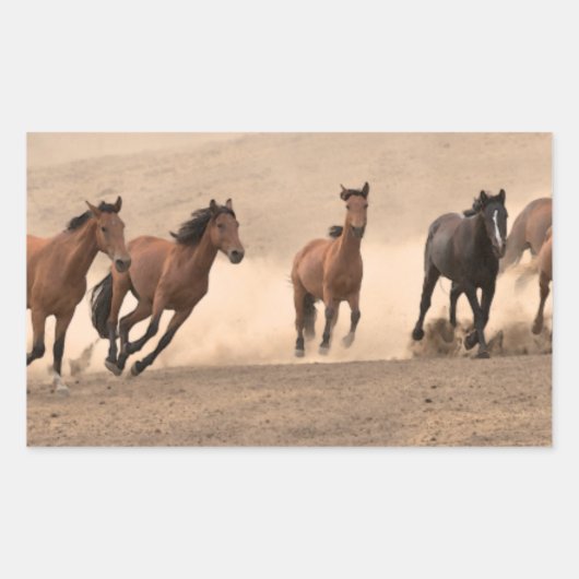 Pferd im Herbst II Rechteckiger Aufkleber (Vorderseite)