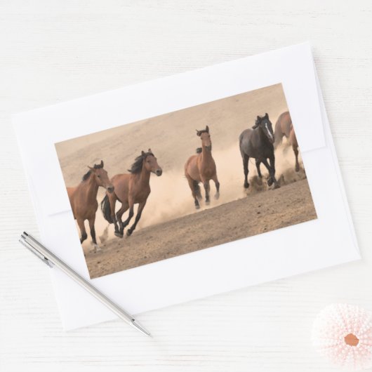 Pferd im Herbst II Rechteckiger Aufkleber (Umschlag)