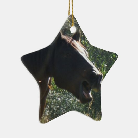 Pferd im Herbst Keramikornament (Rechts)