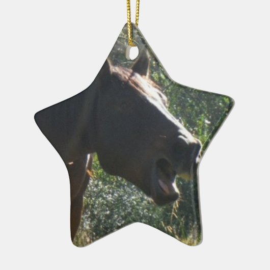 Pferd im Herbst Keramikornament (Links)