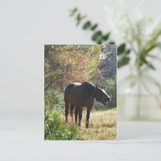 Pferd im Herbst Postkarte (Stehend Vorderseite)