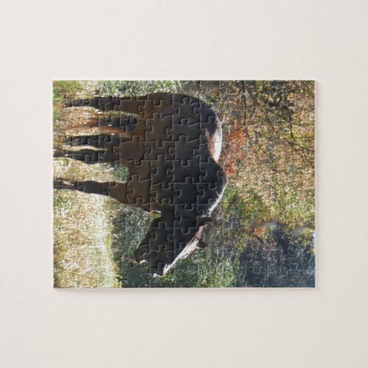 Pferd im Herbst Puzzle (Horizontal)