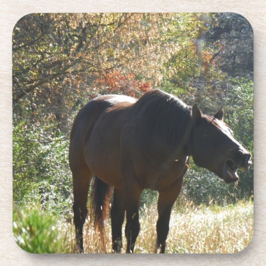 Pferd im Herbst Untersetzer (Vorderseite)