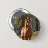Pferd im Holz Button (Vorne & Hinten)