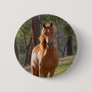 Pferd im Holz Button