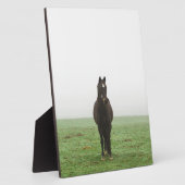 Pferd im Nebel auf einer Wiese Fotoplatte (Seite)