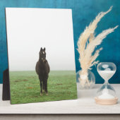 Pferd im Nebel auf einer Wiese Fotoplatte (Seite)
