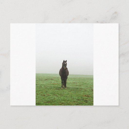 Pferd im Nebel auf einer Wiese Postkarte (Vorderseite)
