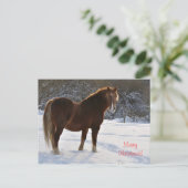 Pferd im Schnee Weihnachten (Stehend Vorderseite)