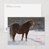 Pferd im Schnee Weihnachten (Vorne/Hinten)
