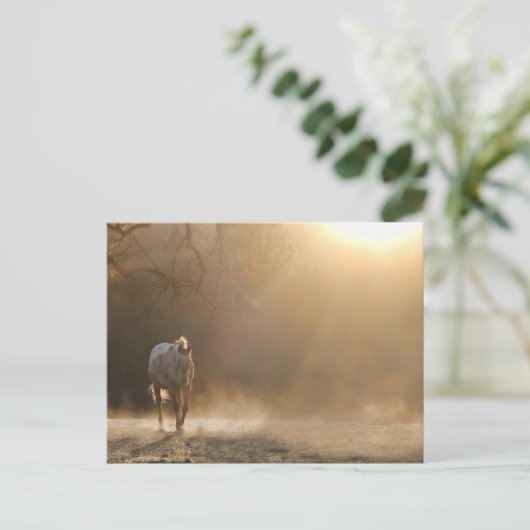 Pferd im Sonnenlicht Postkarte (Stehend Vorderseite)